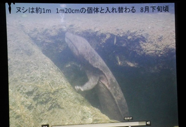 写真4　水中動画の報告.jpg