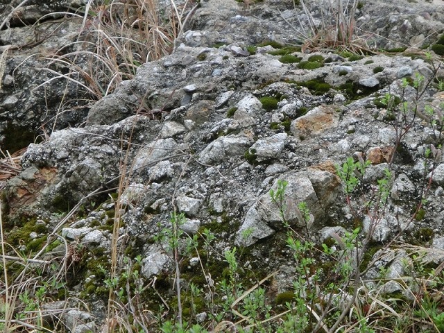 写真-4　花崗岩の礫岩(径5～90㎝の角礫).jpg