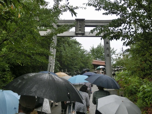 写真-21　白鳥神社の鳥居.jpg