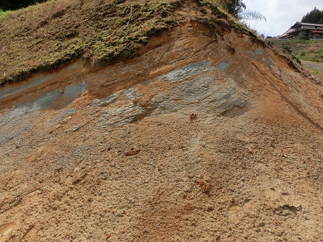 写真-18　凝灰岩の露頭(粘土化して非常に軟質，地すべり崩積土の下盤).jpg