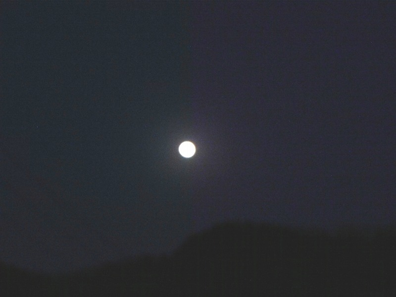 きさらぎの望月.jpg