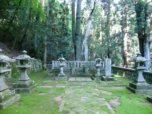 写真-13　右側の白っぽい木が墓標のハリイブキ　(参考2011.7.10).jpg